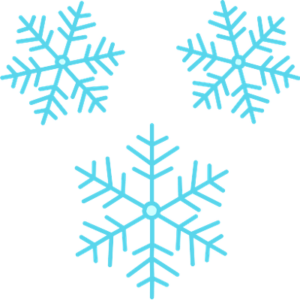 Snow Flakes for Snow Day [image]
